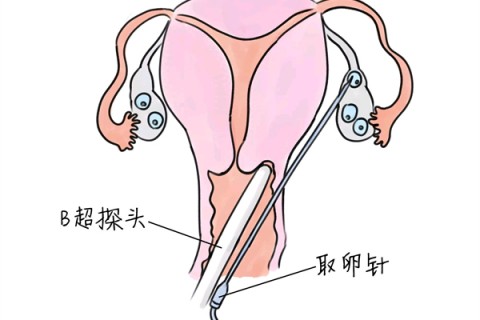 http://wuxi.huochezhan.net/post/205.html|无锡供卵助孕