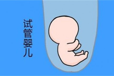 培养无锡捐卵宝宝艺术细胞的小技巧
