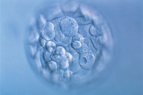 http://wuxi.huochezhan.net/post/200.html|无锡新闻中心